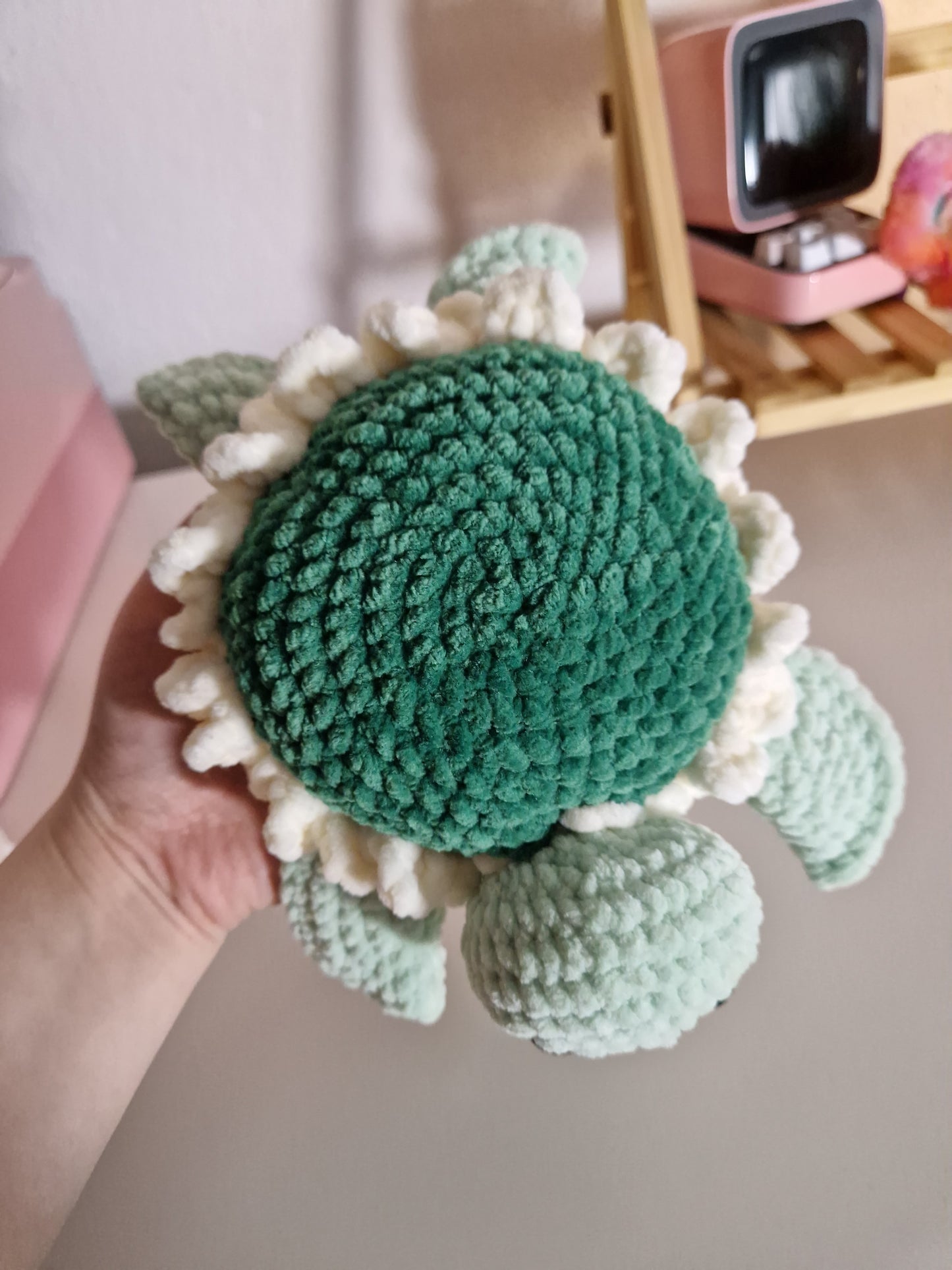 Blumen-Schildkröte